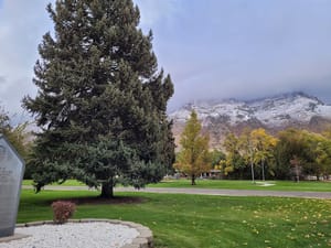 Memorial Park photo 3