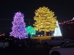 Memorial Park photo 3