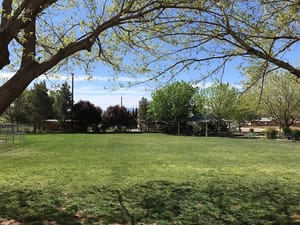 Middleton Park photo 3