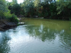 Midvale Jordan River Parkway photo 3