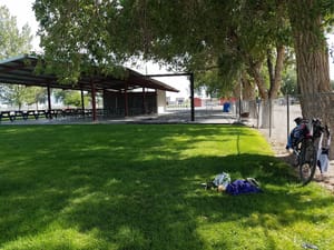 Milford Lions CG photo 2