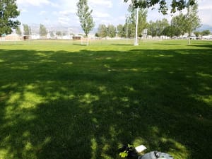 Milford Lions CG photo 3