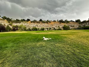 Mill Hollow Park photo 3