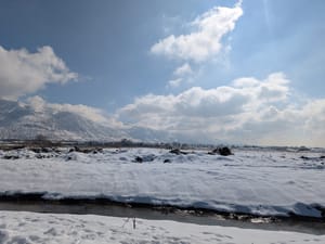 Millenium Park photo 2