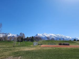 Mitchell Hollow Park photo 2