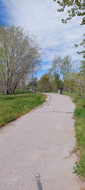 Modesto Park photo 2