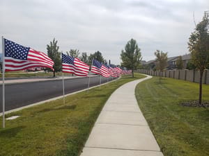 Monarch Meadows Park photo 3