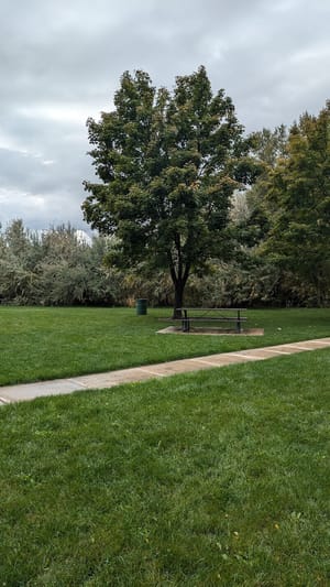 Monarch Park at American Fork photo 3