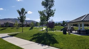 Morning Cloak Park photo 2