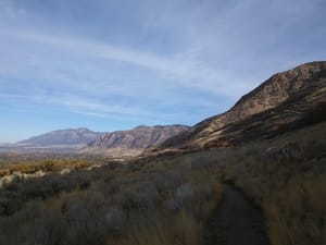 Mount Ogden Park photo 3