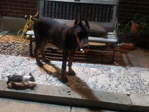 Mountain Man Park photo 2