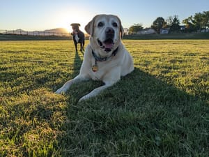 Mountain Man Park photo 3