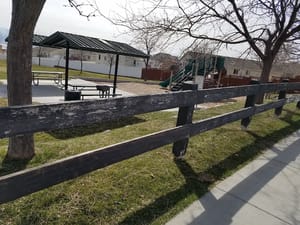 Mountain Moon Park photo 3