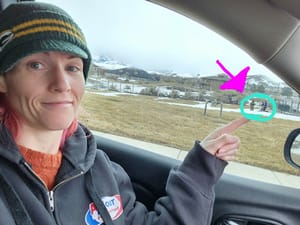 Mt Airey Park photo 3