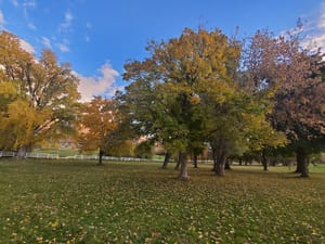 Mt. Ogden Park-East Field (#4080) photo 2