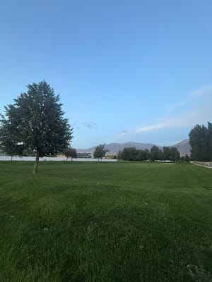 Nibley Gardens photo 2