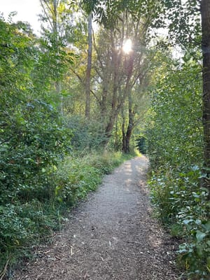 Nicholls Park photo 3