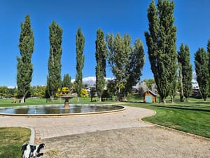 Nielsen's Grove Park photo 3