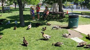 North Ogden Public Spring