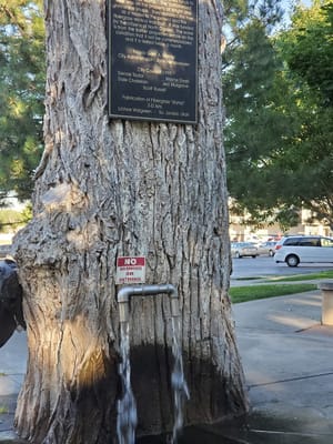 North Ogden Public Spring photo 2