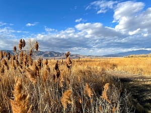 Northlake Park photo 2