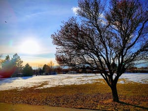 Northridge Park photo 2