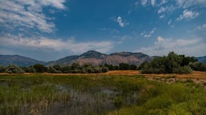 Ogden Nature Center photo 2