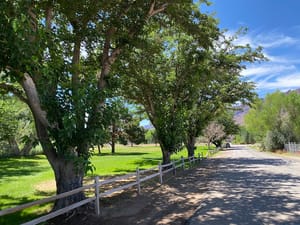 Old City Park photo 2