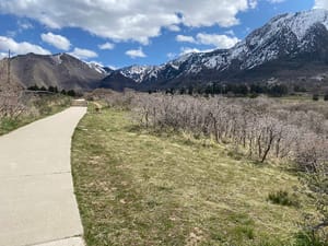 Olympus Hills photo 2