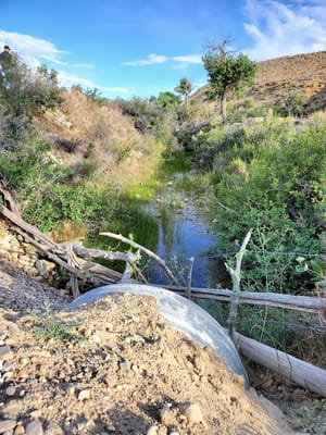 Orangeville City Park photo 2