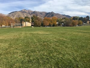 Orchard Park photo 3