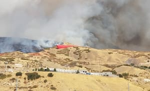 Orchard Park photo 2