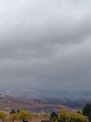 Orchard Park photo 3