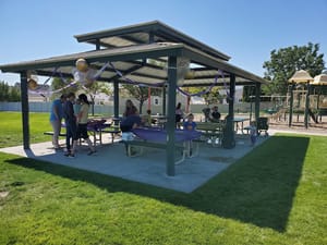 Orchard Park photo 2