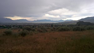 Orchard Park photo 3