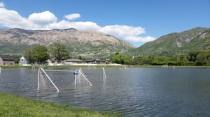 Orton/Green Acres Park