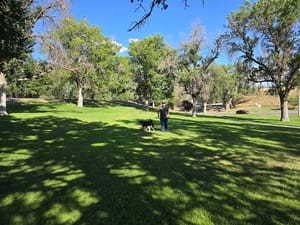 Outdoor bench photo 2