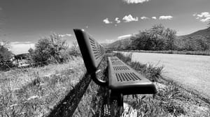 Park Bench photo 2
