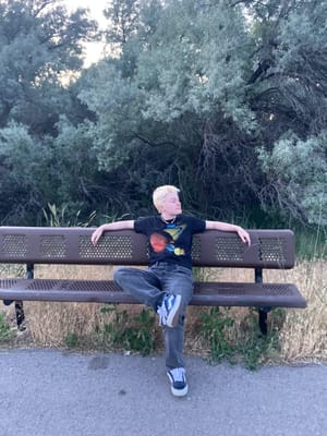 Park Bench photo 3