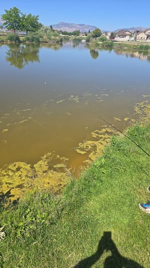 Park/fishing photo 3