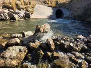 Parleys Historic Nature Park photo 2