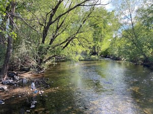 Paul Ream Wilderness Park photo 2