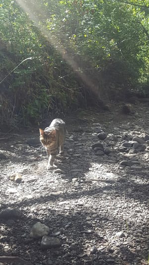 Payson City Bike Path