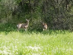 Payson City Bike Path photo 2