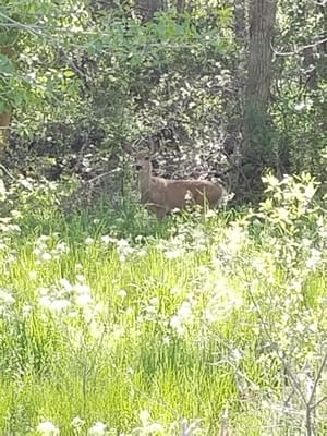 Payson City Bike Path photo 3