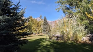 Petersen Park photo 2