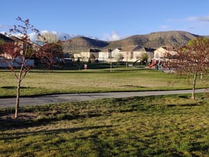 Pioneer Park photo 3