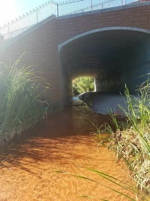 Pioneer Park photo 3