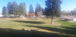 Pioneer Park photo 2