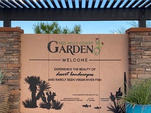 Pioneer Park photo 3